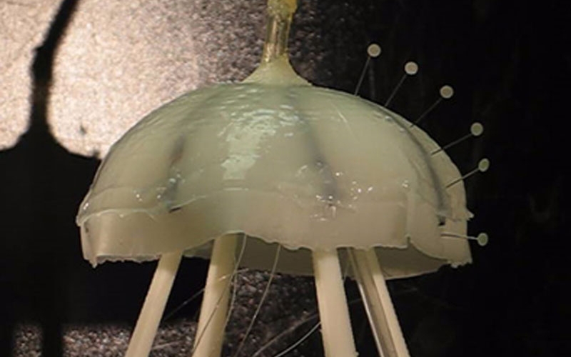 Робот-медуза «Robojelly»