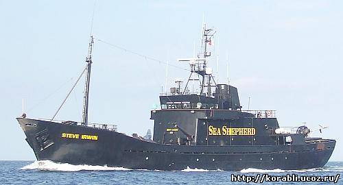 Судно «MS Steve Irwin» организации «Sea Shepherd» завершило свой природоохранный рейд