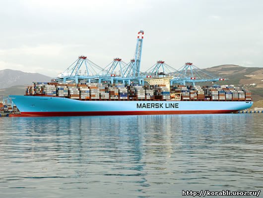 Разнообразие компании «Maersk Line» (45 фото)