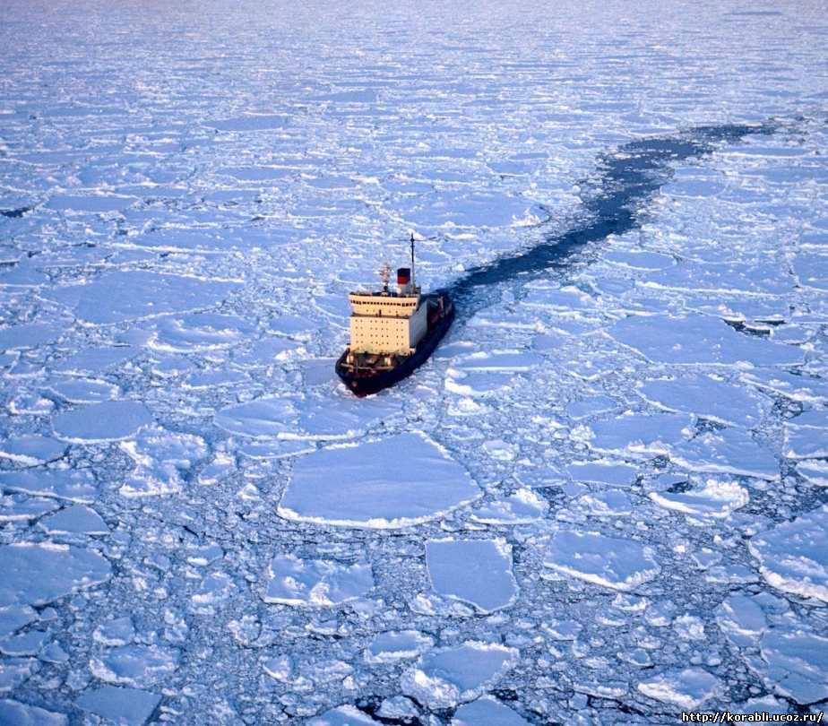 Атомные ледоколы «Сибирь» и «Арктика» выведут из эксплуатации
