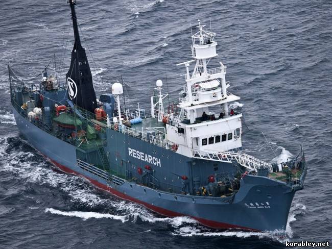 Между защитниками организации «Sea Shepherd» и китобоями произошло очередное столкновение